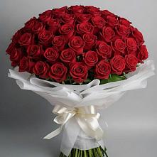 Букет 101 Красная роза Блэк Мэджик в Мурыгино
