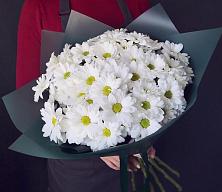 Букет цветов из:  Хризантемы #REPLACE_PRED# Мурыгино