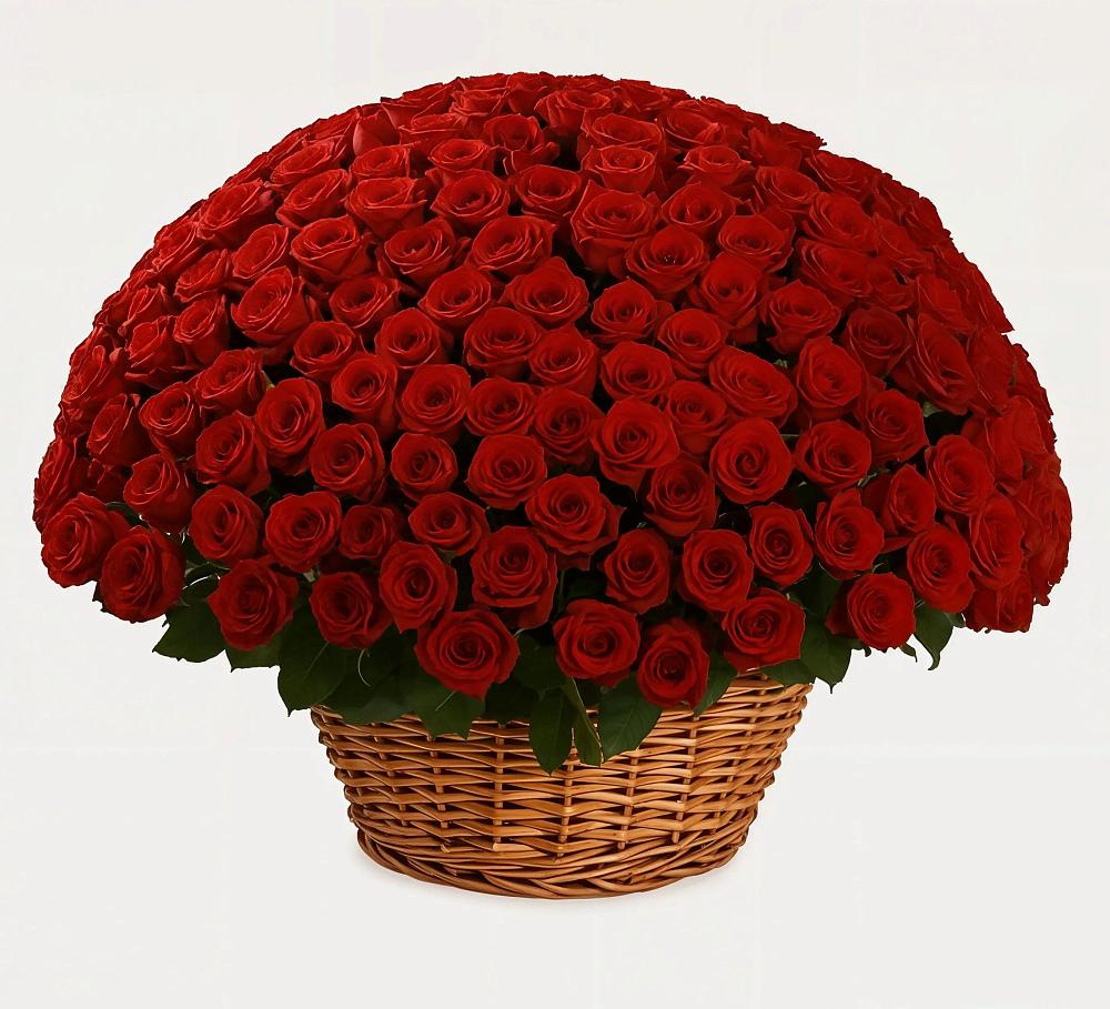 Премиум букет из: Розы в Мурыгино