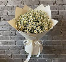 Букет цветов из:  Ромашки в Мурыгино