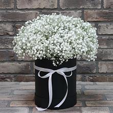 Цветочная композиция из Гипсофила в шляпной коробке в Мурыгино
