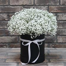 Цветочная композиция из Гипсофила в шляпной коробке в Мурыгино
