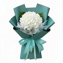 Букет цветов из:  Гортензия в Мурыгино